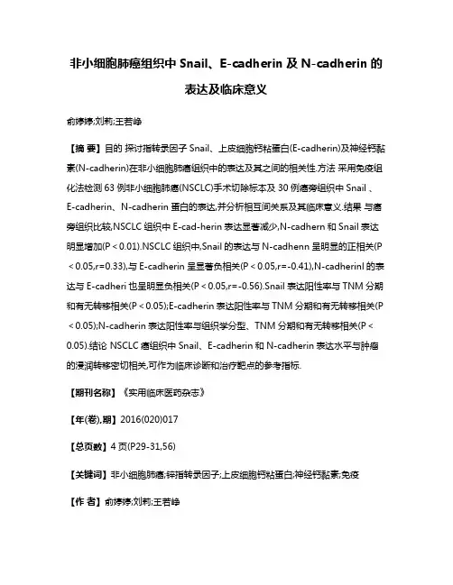 非小细胞肺癌组织中Snail、E-cadherin及N-cadherin的表达及临床意义
