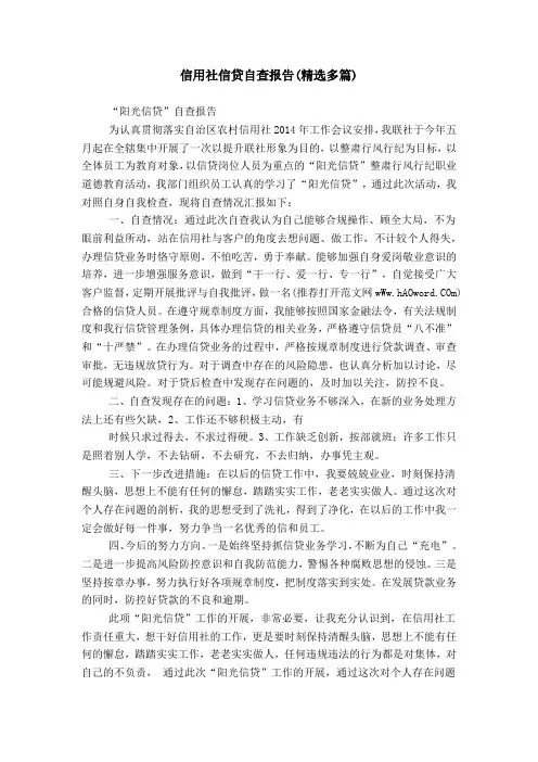 信用社信贷自查报告