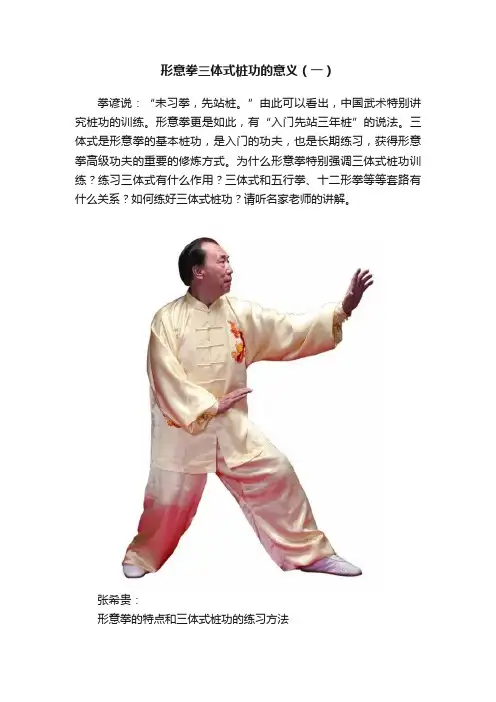 形意拳三体式桩功的意义（一）