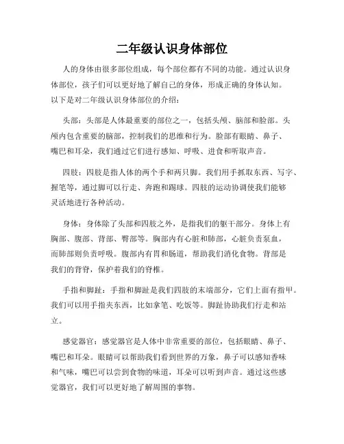 二年级认识身体部位