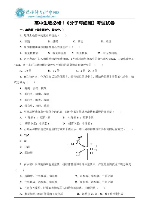 高中生物必修1《分子与细胞》考试试卷