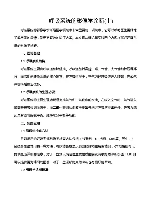 呼吸系统的影像学诊断(上)