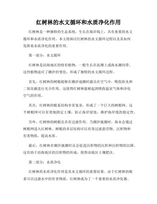 红树林的水文循环和水质净化作用