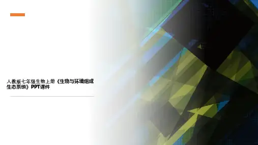 人教版七年级生物上册《生物与环境组成生态系统》PPT课件