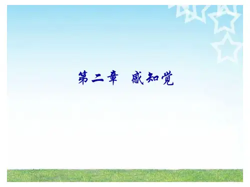 第二章 感知觉--1