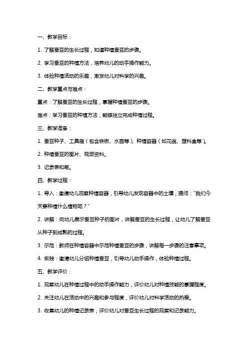 中班科学活动《种蚕豆》教案