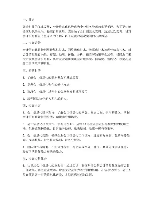 会计信息化实训心得报告