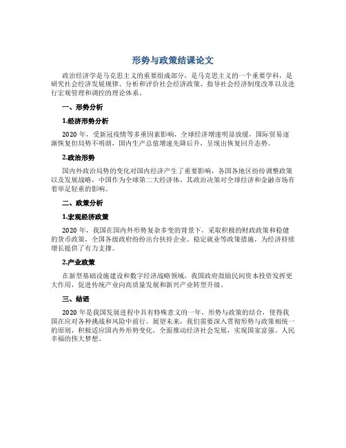 形势与政策结课论文2000字2020