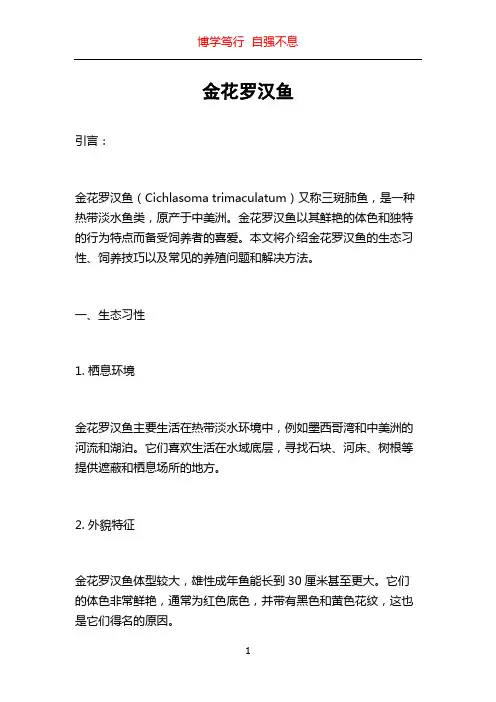 金花罗汉鱼
