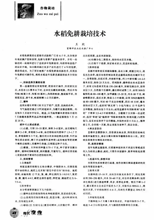 水稻免耕栽培技术