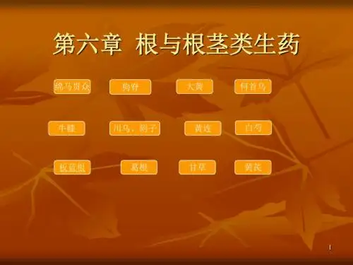 第6章-根及根茎类生药(1)