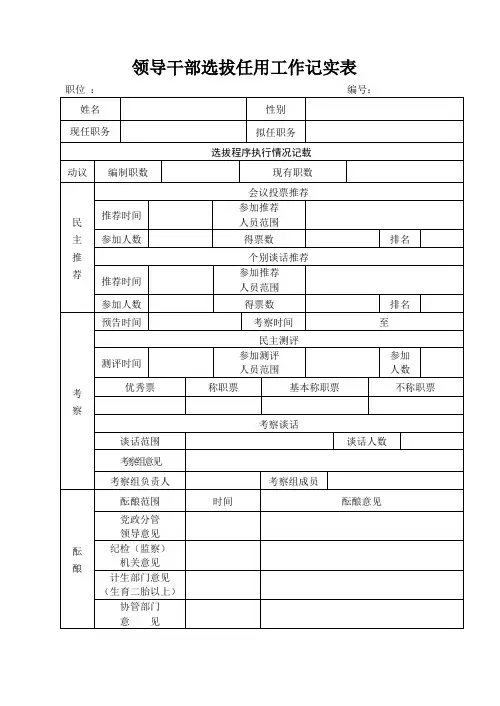 领导干部选拔任用工作记实表
