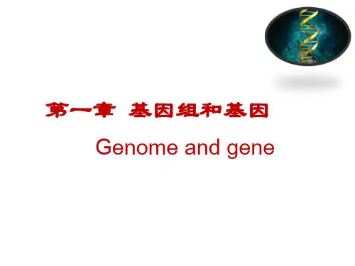 第一章 基因组和基因