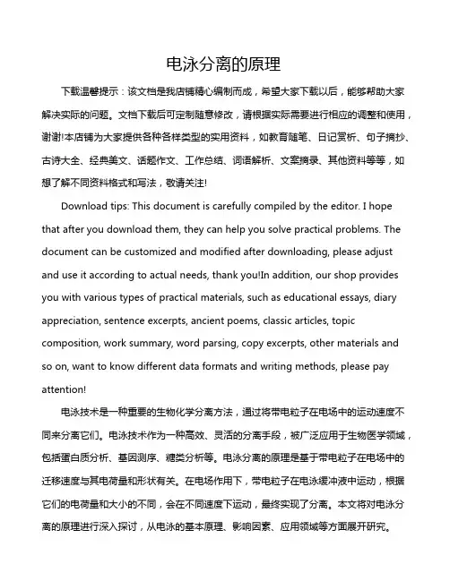 电泳分离的原理