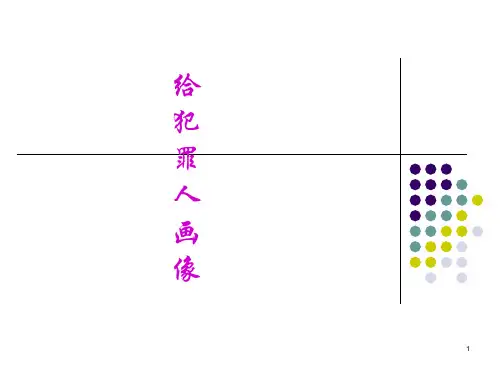 _犯罪心理画像经典案例ppt课件