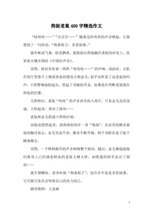 狗捉老鼠400字精选作文