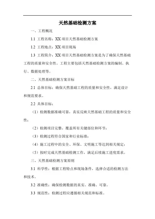 天然基础检测方案