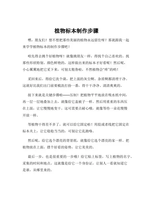 植物标本制作步骤