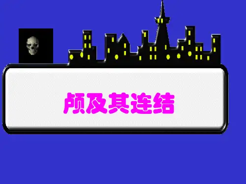 颅骨与连结