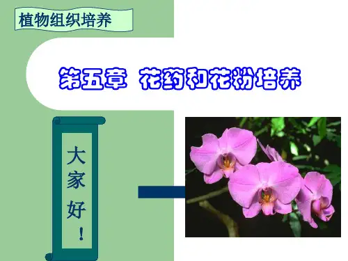 A细胞工程第4节—植物花粉和花药培养2 共79页PPT资料