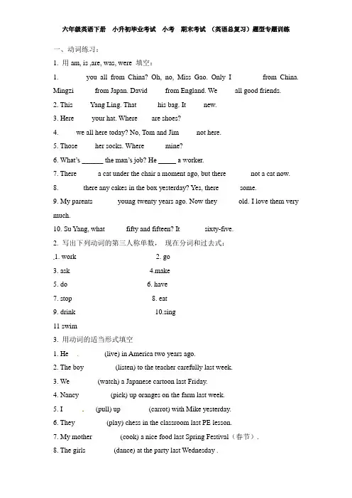 小学六年级英语下册 下学期  小升初毕业考试  小考  期末考试 (英语总复习)题型专题训练——动词