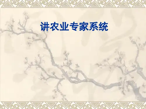 农业专家系统的概念特征与功能 (ppt 100页)