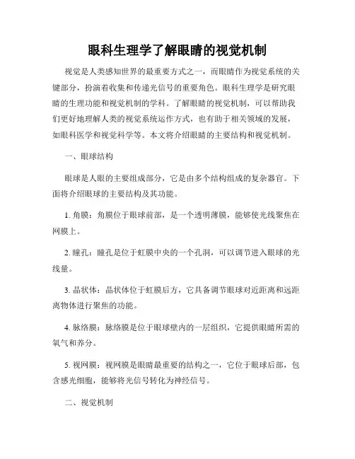 眼科生理学了解眼睛的视觉机制