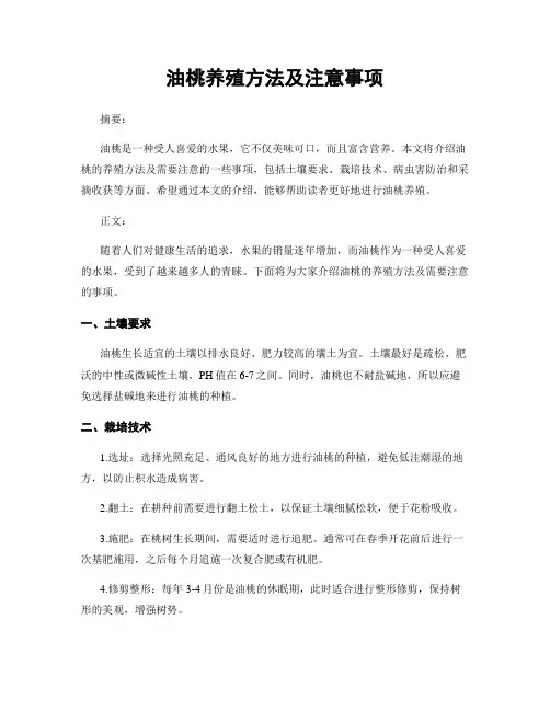 油桃养殖方法及注意事项