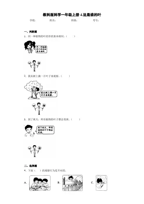 教科版科学一年级上册4.这是谁的叶