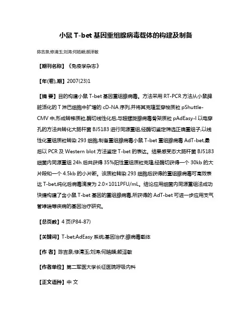 小鼠T-bet基因重组腺病毒载体的构建及制备