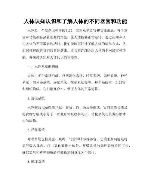 人体认知认识和了解人体的不同器官和功能