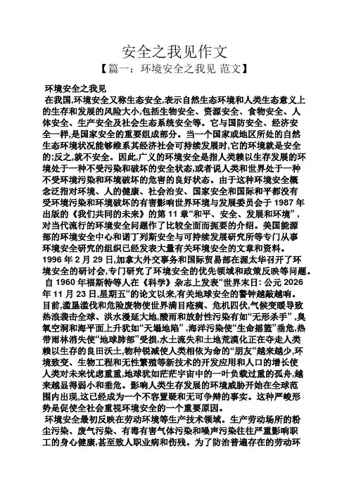 安全作文之安全之我见作文