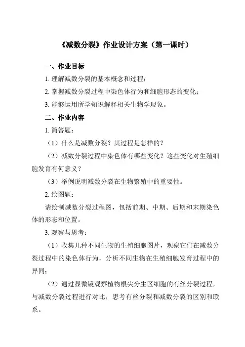 《第1章 第1节 一 减数分裂》作业设计方案-高中生物人教版必修2