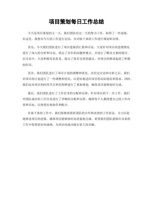 项目策划每日工作总结