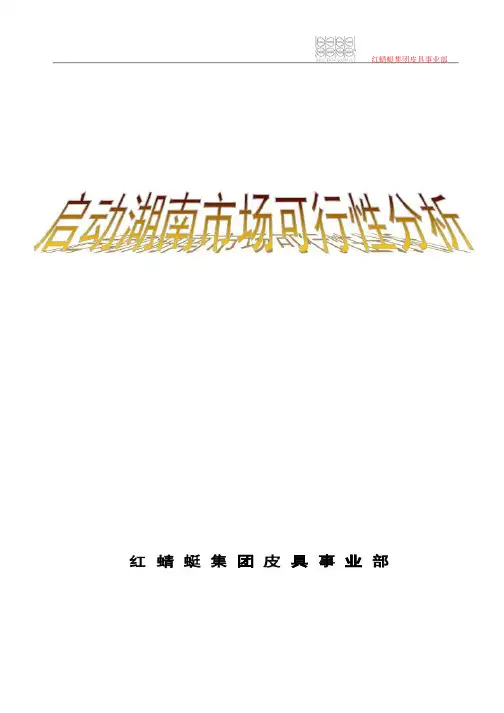 湖南市场启动方案可行性分析