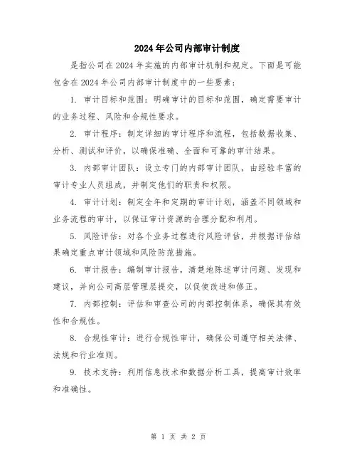 2024年公司内部审计制度