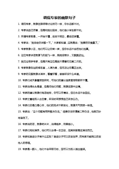 调侃专家的幽默句子