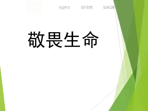 《敬畏生命》ppt经典课件