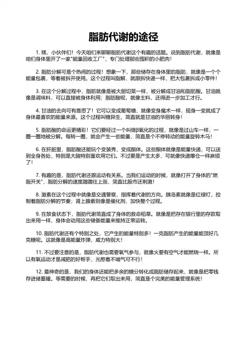 脂肪代谢的途径