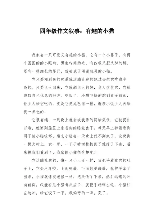 四年级作文叙事：有趣的小猫