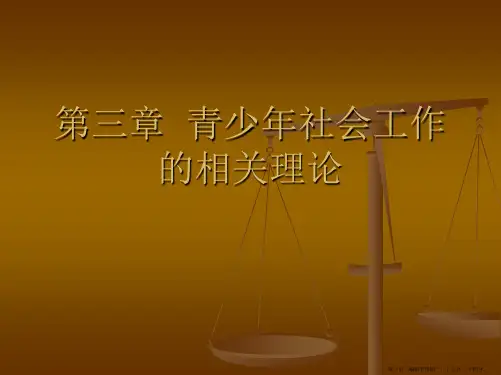 第三章  青少年社会工作相关理论