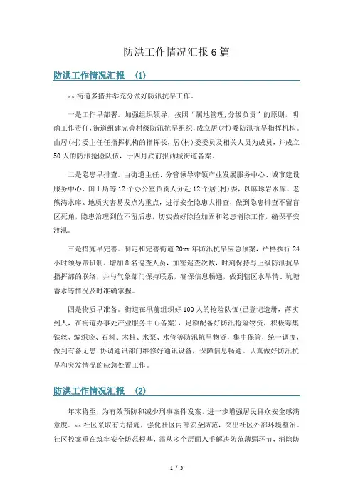 防洪工作情况汇报6篇