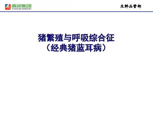 猪繁殖与呼吸综合征(经典猪蓝耳病)
