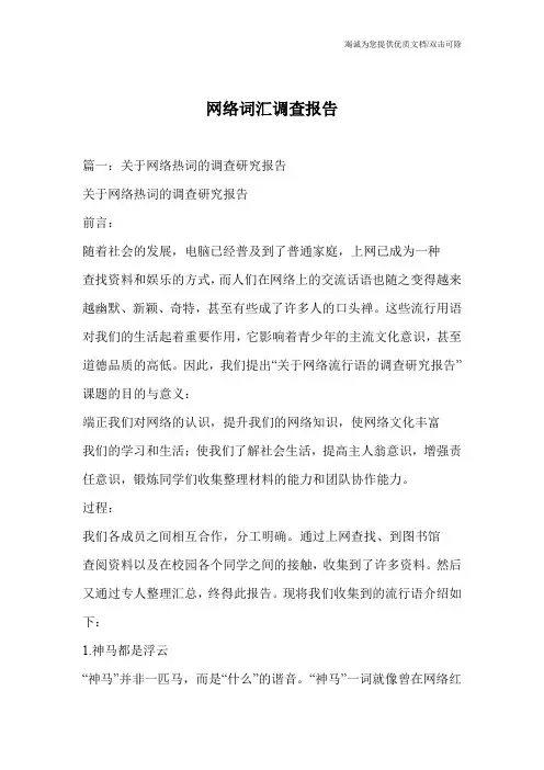 网络词汇调查报告