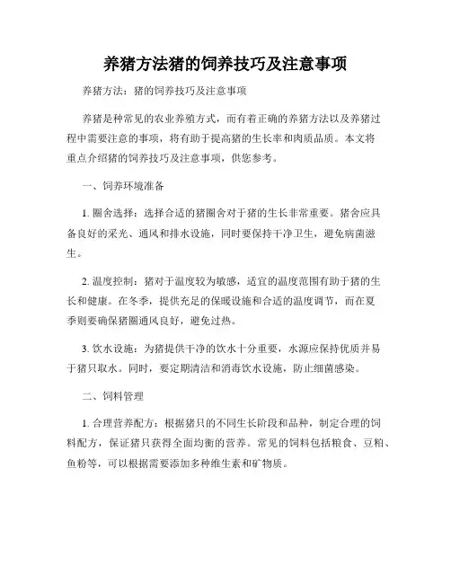 养猪方法猪的饲养技巧及注意事项