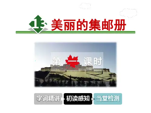 北师大版四年级语文上册《13.美丽的集邮册》课件第1课时