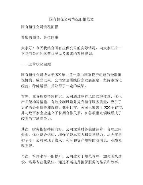 国有担保公司情况汇报范文
