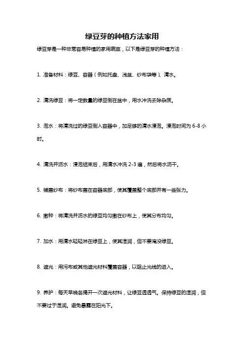 绿豆芽的种植方法家用