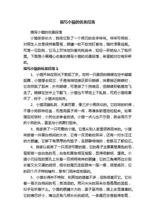 描写小猫的优美段落