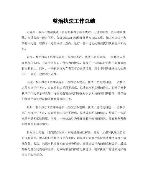 整治执法工作总结